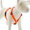 Show in main carousel: LupinePet Waterproof BioThane Adjustable Dog Harness, Neon Orange, Small: 12 to 20-in chest, 3/4-in wide slide 1 of 8