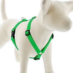 LupinePet Waterproof BioThane Adjustable Dog Harness, Neon Green, Large: 20 to 32-in chest, 3/4-in wide