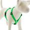 Show in main carousel: LupinePet Waterproof BioThane Adjustable Dog Harness, Neon Green, Large: 20 to 32-in chest, 3/4-in wide slide 1 of 7
