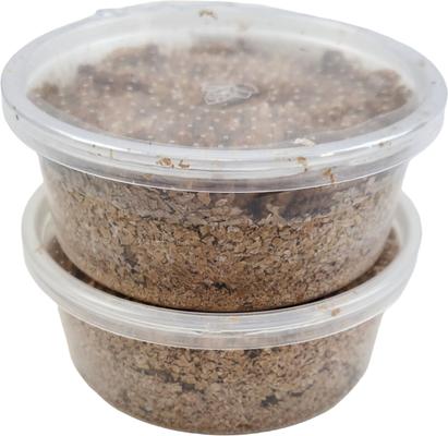 Show full view: Josh's Frogs Giant Mealworms Live Feed Reptile Food, 500 count slide 4 of 10