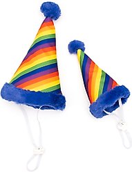 The Worthy Dog Pride Party Dog Hat, Multicolored, Large slide 2 of 4