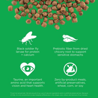 Show full view: Go! Solutions Sensitivities Limited Ingredient Grain-Free Insect Recipe Dry Cat Food, 3-lb bag slide 4 of 10