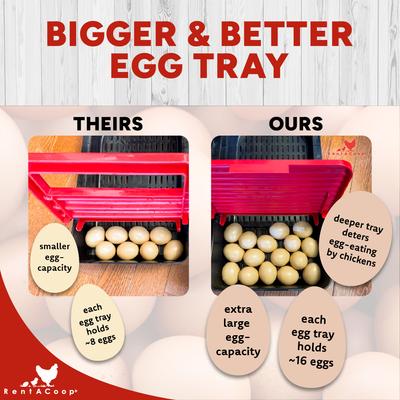 Show full view: RentACoop Roll-Out Reversible 3 Compartment Poultry Nesting Box slide 6 of 10