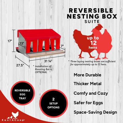 Show full view: RentACoop Roll-Out Reversible 3 Compartment Poultry Nesting Box slide 2 of 10