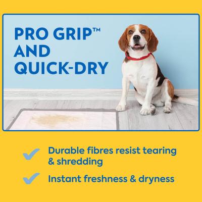 Show full view: OUT! Heavy Duty XX-Large Dog Pads, 26 x 30-in, 30 count slide 7 of 10