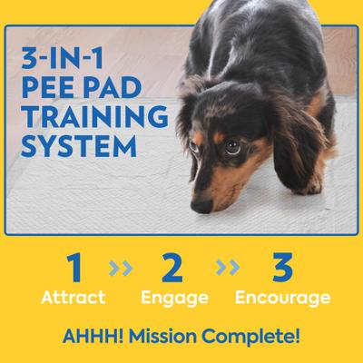 Show full view: OUT! Heavy Duty XX-Large Dog Pads, 26 x 30-in, 30 count slide 6 of 10