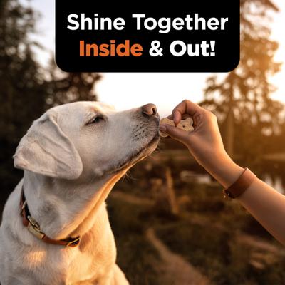 Show full view: Nutri-Vet Skin & Coat Peanut Butter Flavor Biscuits Supplement for Dogs, 16-oz bag slide 9 of 11