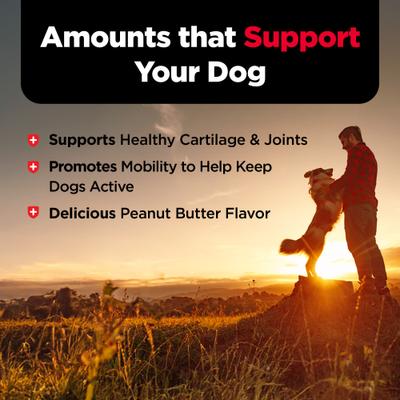 Show full view: Nutri-Vet Hip & Joint Regular Strength Biscuits for Small & Medium Dogs Peanut Butter Flavor Treats, 16-oz jar slide 7 of 11