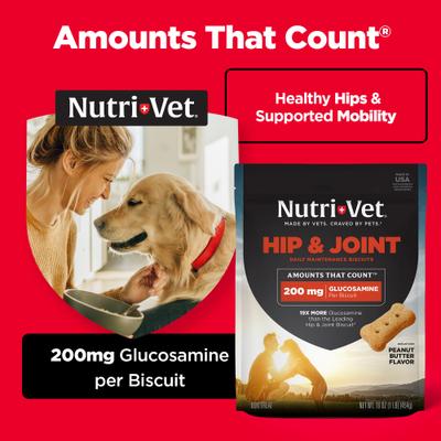 Show full view: Nutri-Vet Hip & Joint Regular Strength Biscuits for Small & Medium Dogs Peanut Butter Flavor Treats, 16-oz jar slide 4 of 11