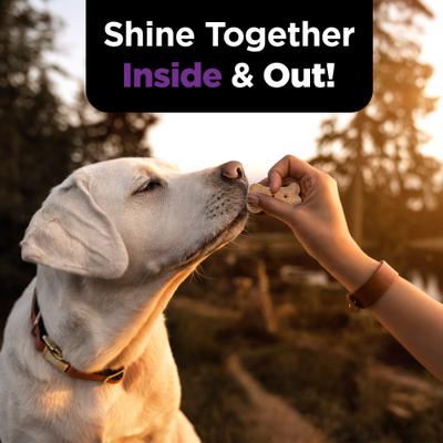 Show full view: Nutri-Vet Immune & Digestive Health Chicken Flavor Supplement for Dogs, 16-oz jar slide 9 of 11