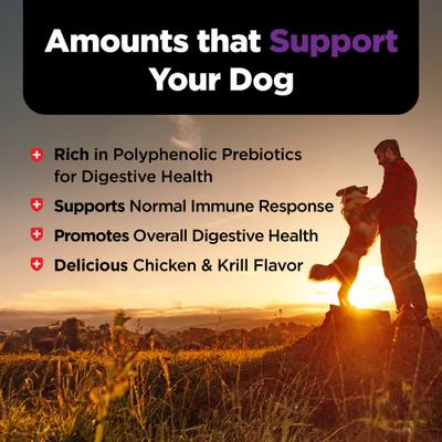 Show full view: Nutri-Vet Immune & Digestive Health Chicken Flavor Supplement for Dogs, 16-oz jar slide 8 of 11