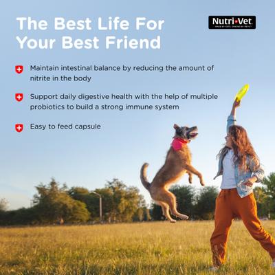 Show full view: Nutri-Vet Probiotics Capsules Digestive Supplement for Dogs, 60 count slide 7 of 12