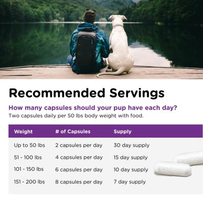 Show full view: Nutri-Vet Probiotics Capsules Digestive Supplement for Dogs, 60 count slide 8 of 12