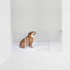 Hiddin Clear Wall Mounted Low Zig Zag Dog Gate, Silver, 4 panel