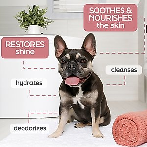 Hartz True Coat Short & Smooth Soothes & Shines with Oat Milk, Coconut Oil & Vitamin E Dog Shampoo, 16-fl oz bottle