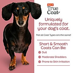 Hartz True Coat Short & Smooth Soothes & Shines with Oat Milk, Coconut Oil & Vitamin E Dog Shampoo, 16-fl oz bottle slide 2 of 8