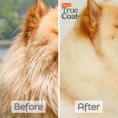 Show full view: Hartz True Coat Thick De-Sheds & Softens with Oat Milk, Coconut Oil & Aloe Dog Shampoo, 16-fl oz bottle slide 5 of 9
