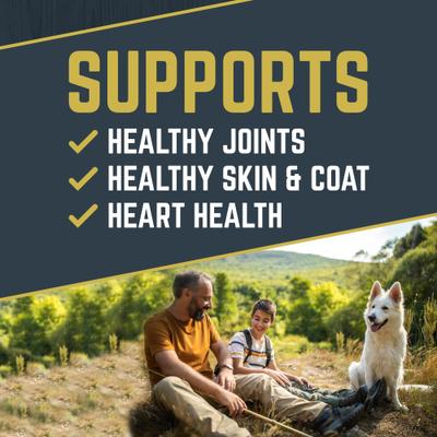 Show full view: Black Gold Explorer Original Performance 26/18 Dry Dog Food, 50-lb bag slide 4 of 11