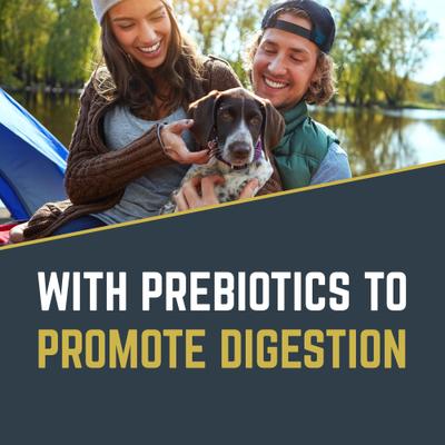 Show full view: Black Gold Explorer Original Performance 26/18 Dry Dog Food, 50-lb bag slide 3 of 11