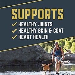 Black Gold Explorer Super Performance Formula 32/21 Dry Dog Food, 40-lb bag slide 2 of 9