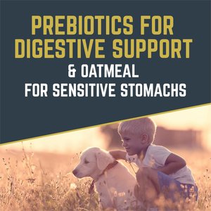 Black Gold Explorer Puppy Formula Dry Dog Food, 15-lb bag