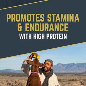 Black Gold Explorer Puppy Formula Dry Dog Food, 15-lb bag