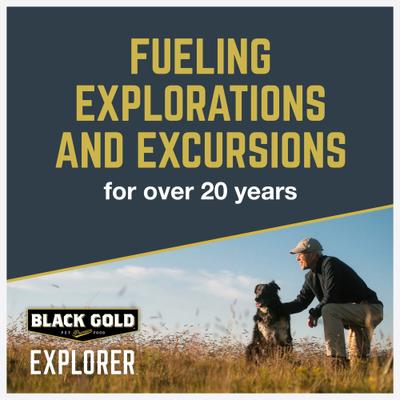 Show full view: Black Gold Explorer Mature 7+ Formula Dry Dog Food, 40-lb bag slide 8 of 12