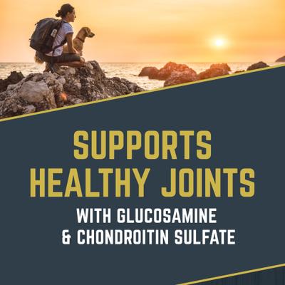 Show full view: Black Gold Explorer Mature 7+ Formula Dry Dog Food, 40-lb bag slide 7 of 12