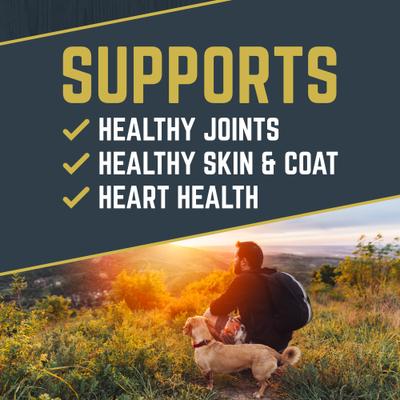 Show full view: Black Gold Explorer Beef Meal & Barley Formula Dry Dog Food, 40-lb bag slide 4 of 11