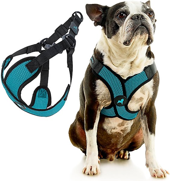 Gooby Comfort X Step In Lite Dog Harness