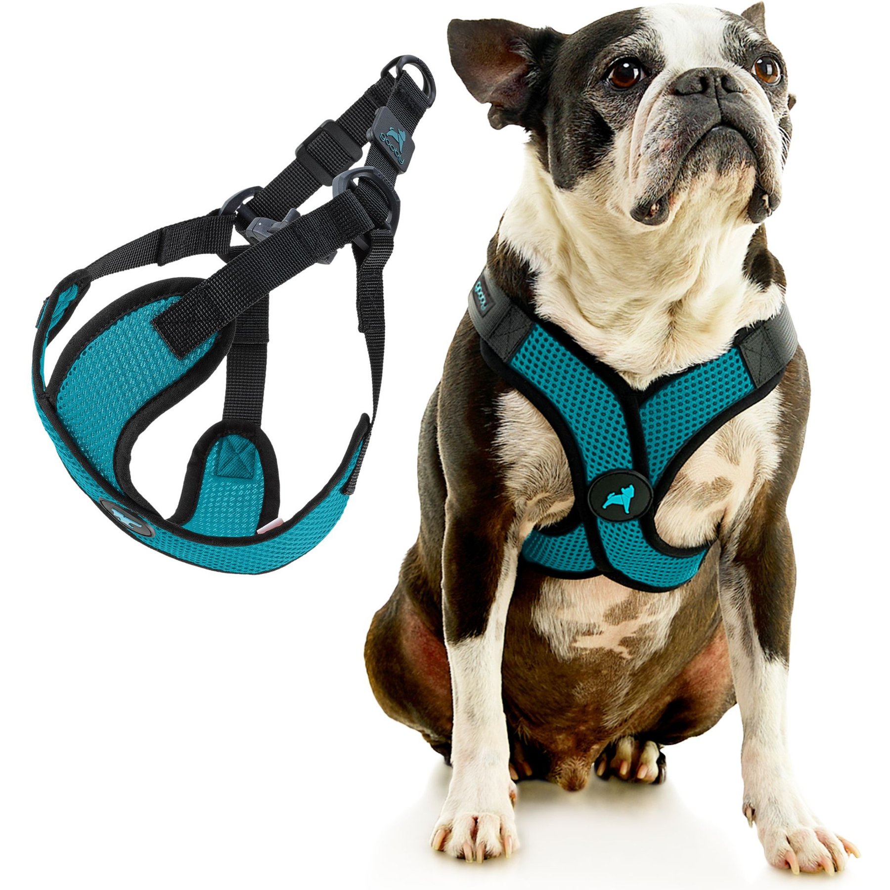 Gooby Comfort X Step In Lite Dog Harness, Turquoise, Medium: 16 to 20-in chest