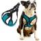 Show in main carousel: Gooby Comfort X Step In Lite Dog Harness, Turquoise, Medium: 16 to 20-in chest slide 1 of 7
