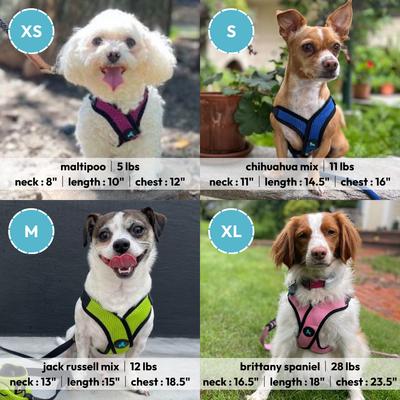 Show full view: Gooby Comfort X Step In Lite Dog Harness, Turquoise, Medium: 16 to 20-in chest slide 2 of 7