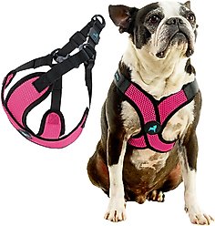 Gooby Comfort X Step In Lite Dog Harness, Flamingo Pink, Medium: 16 to 20-in chest