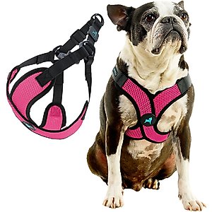 Gooby Comfort X Step In Lite Dog Harness, Flamingo Pink, Medium: 16 to 20-in chest