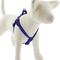 Show in main carousel: LupinePet BioThane Step In Dog Harness, True Blue, Medium/Large: 20 to 30-in chest slide 1 of 8