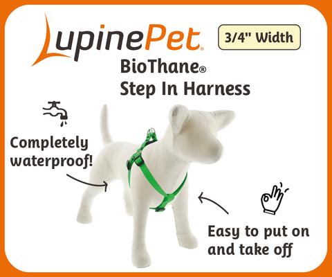 Show full view: LupinePet BioThane Step In Dog Harness, True Blue, Medium/Large: 20 to 30-in chest slide 3 of 8