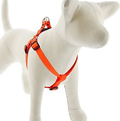 LupinePet BioThane Step In Dog Harness, Neon Orange, Medium/Large: 20 to 30-in chest