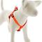 Show in main carousel: LupinePet BioThane Step In Dog Harness, Neon Orange, Medium/Large: 20 to 30-in chest slide 1 of 7