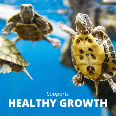 Show full view: Tetra ReptoMin 3-In-1 Select-A-Food Aquatic Turtle Food, 1.56-oz jar slide 4 of 11