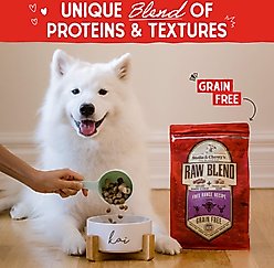 Stella & Chewy's Raw Blend Free-Range Recipe Grain-Free Dry Dog Food, 22-lb bag slide 2 of 9