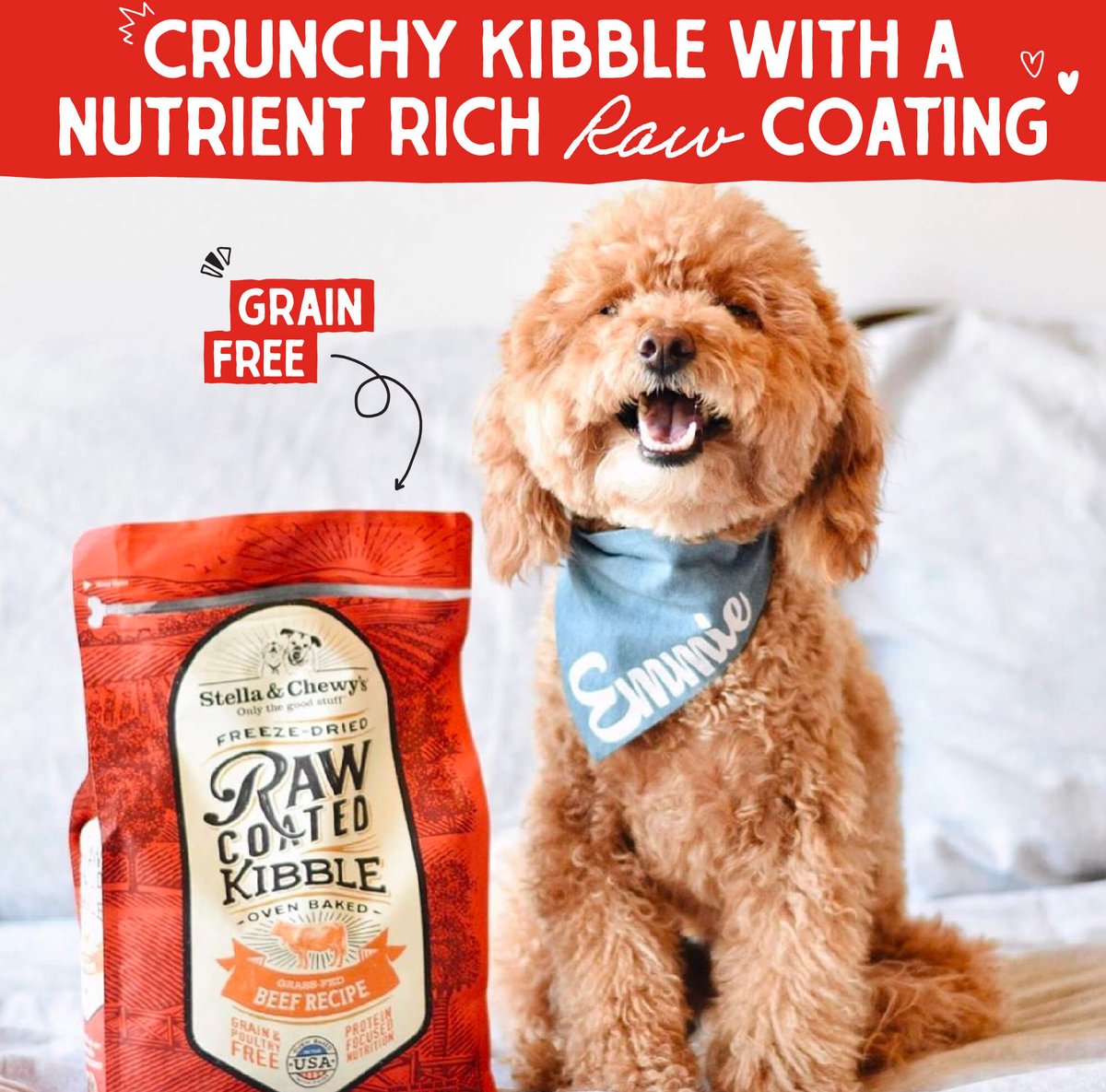 Stella & Chewy's Raw Coated Grass-Fed Lamb Recipe Grain-Free Dry Dog Food