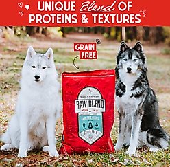 Stella & Chewy's Raw Blend Cage-Free Recipe Grain-Free Dry Dog Food, 22-lb bag slide 2 of 9