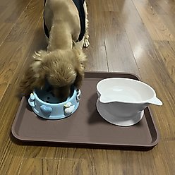 LFC PETS 2Pcs Non-Skid Dog & Cat Food Placemat, Brown, Medium slide 2 of 6