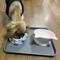 Show in main carousel: LFC PETS 2Pcs Non-Skid Dog & Cat Food Placemat, Grey, Medium slide 7 of 8