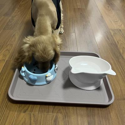 Show full view: LFC PETS 2Pcs Non-Skid Dog & Cat Food Placemat, Oat, Medium slide 4 of 5