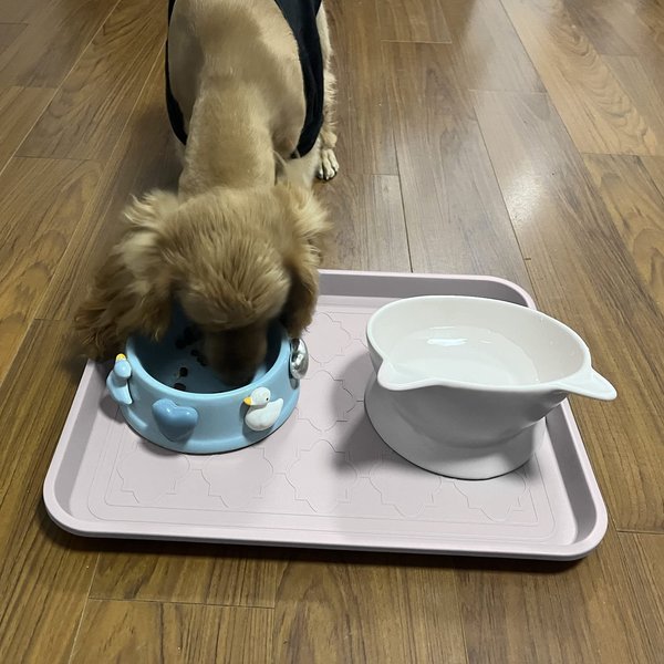 LFC PETS 2Pcs Non-Skid Dog & Cat Food Placemat
