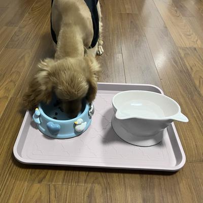 Show full view: LFC PETS 2Pcs Non-Skid Dog & Cat Food Placemat, White, Medium slide 4 of 5