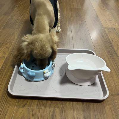 Show full view: LFC PETS 2Pcs Non-Skid Dog & Cat Food Placemat, Tan, Medium slide 7 of 8