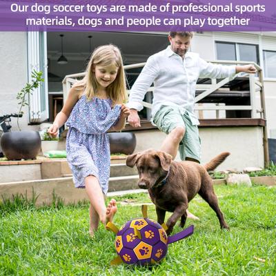 Show full view: Nocciola Soccer Ball with Straps Interactive Dog Toy, Purple & Orange, 8-in slide 2 of 7